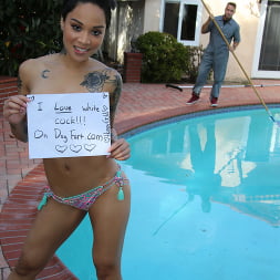 Honey Gold in - We Fuck Black Girls (Photo 1) Honey Gold in 'Dogfart' - We Fuck Black Girls (Thumbnail 1)