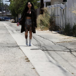 Joanna Angel en 'Dogfart' - Blacks On Blondes - Scene 2 (Miniatura 7)