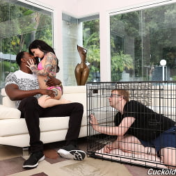 Joanna Angel en 'Dogfart' - Cuckold Sessions (Miniatura 2)