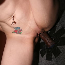 Scarlett Monroe in 'Dogfart' - Glory Hole (Thumbnail 20)