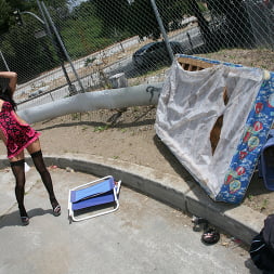 Stephanie Cane in 'Dogfart' - Interracial Blowbang (Thumbnail 4)